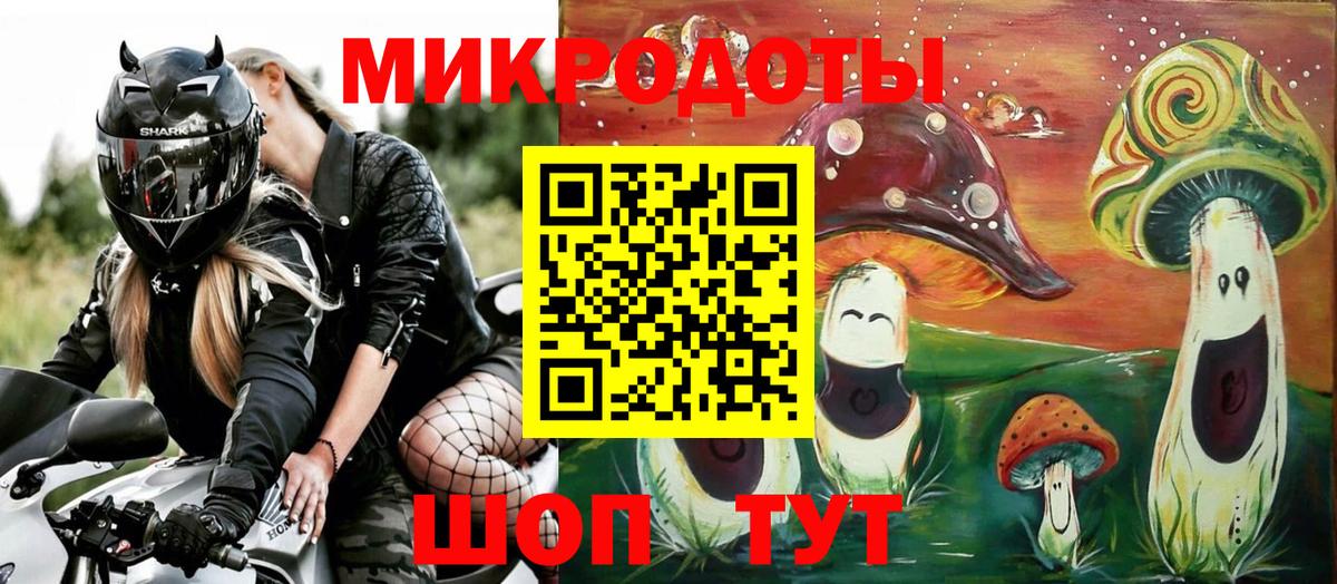 Псилоцибиновые грибы Psilocybine cubensis Сорочинск