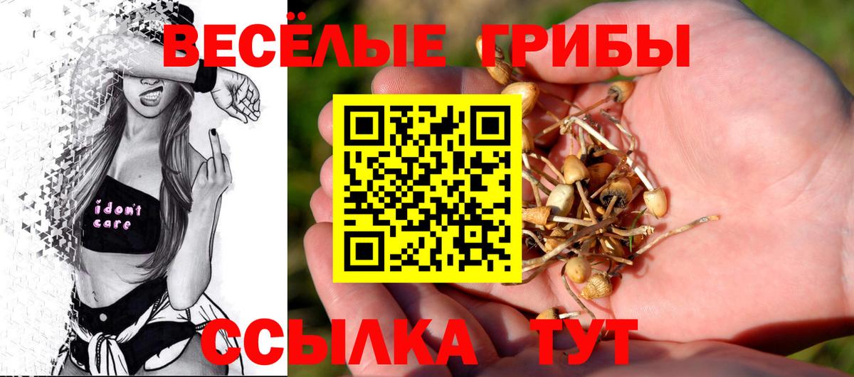 Сорочинск  Галлюциногенные грибы MAGIC MUSHROOMS  Галлюциногенные грибы прущие грибы  Вход с VPN 